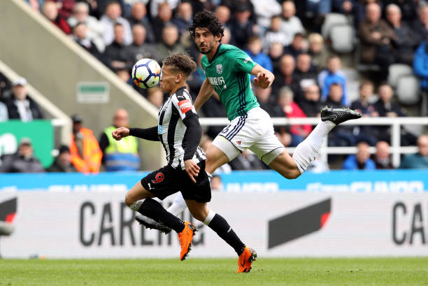 的皇马球迷 的皇马球迷